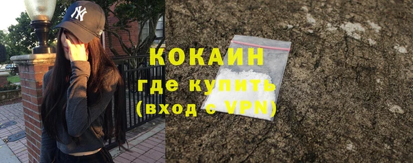 mdpv Медвежьегорск