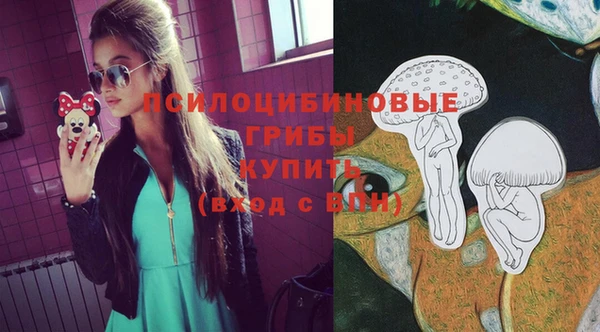 COCAINE Медногорск