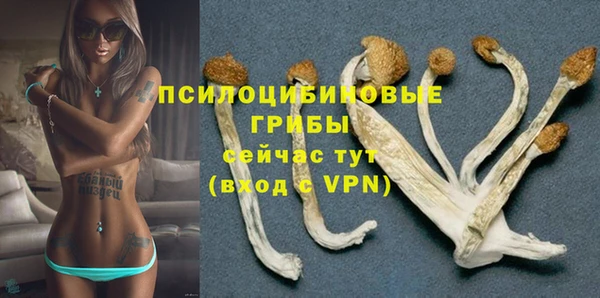 MDMA Premium VHQ Вяземский