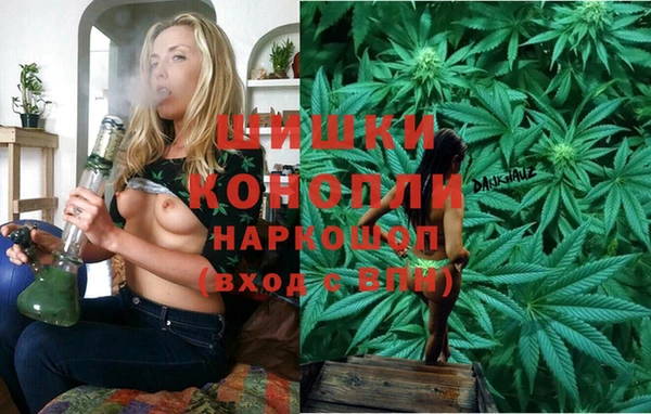 mdpv Медвежьегорск