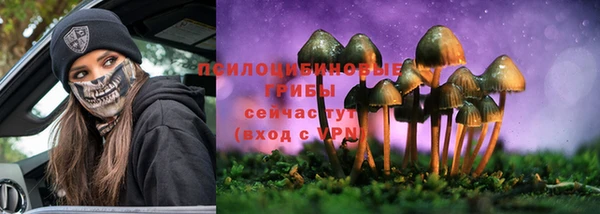 mdpv Мегион