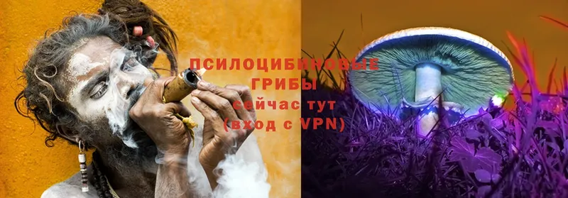 Галлюциногенные грибы Magic Shrooms  Дрезна 